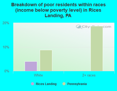 Breakdown of poor residents within races (income below poverty level) in Rices Landing, PA