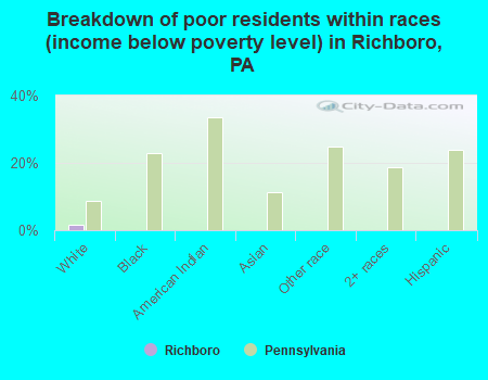 Breakdown of poor residents within races (income below poverty level) in Richboro, PA