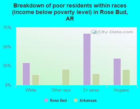 Breakdown of poor residents within races (income below poverty level) in Rose Bud, AR