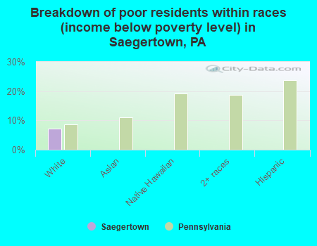 Breakdown of poor residents within races (income below poverty level) in Saegertown, PA