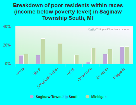 Breakdown of poor residents within races (income below poverty level) in Saginaw Township South, MI