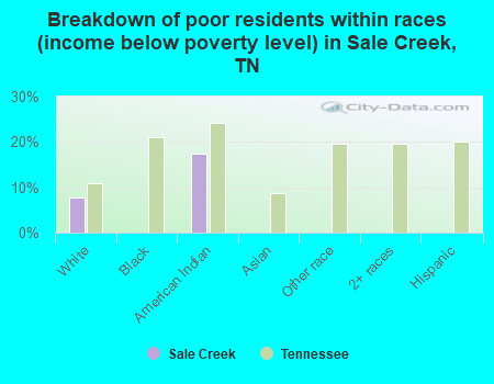 Breakdown of poor residents within races (income below poverty level) in Sale Creek, TN