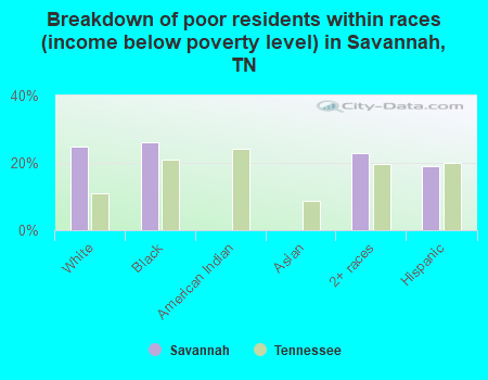 Breakdown of poor residents within races (income below poverty level) in Savannah, TN