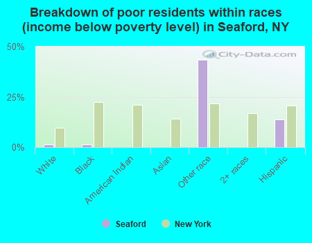 Breakdown of poor residents within races (income below poverty level) in Seaford, NY