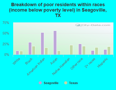 Breakdown of poor residents within races (income below poverty level) in Seagoville, TX