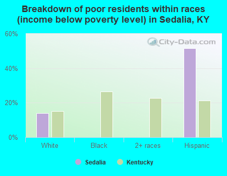 Breakdown of poor residents within races (income below poverty level) in Sedalia, KY