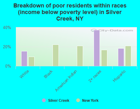 Breakdown of poor residents within races (income below poverty level) in Silver Creek, NY