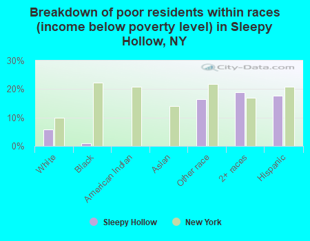 Breakdown of poor residents within races (income below poverty level) in Sleepy Hollow, NY