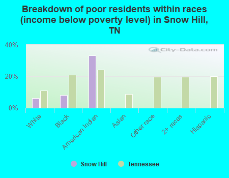 Breakdown of poor residents within races (income below poverty level) in Snow Hill, TN