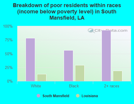 Breakdown of poor residents within races (income below poverty level) in South Mansfield, LA