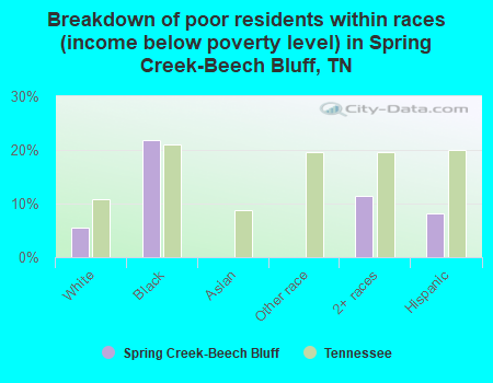Breakdown of poor residents within races (income below poverty level) in Spring Creek-Beech Bluff, TN