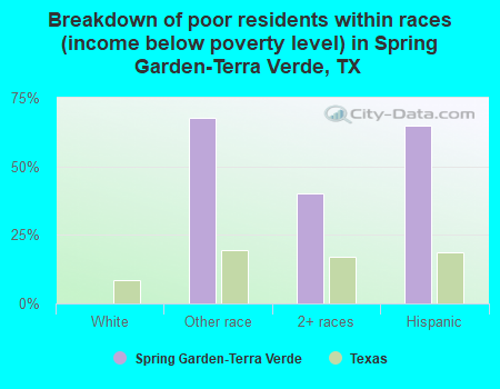 Breakdown of poor residents within races (income below poverty level) in Spring Garden-Terra Verde, TX