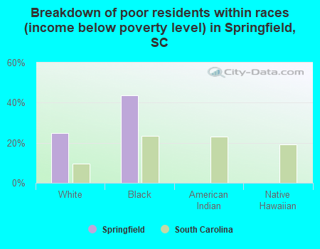 Breakdown of poor residents within races (income below poverty level) in Springfield, SC