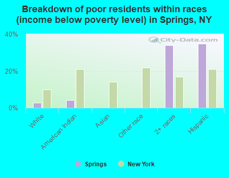 Breakdown of poor residents within races (income below poverty level) in Springs, NY