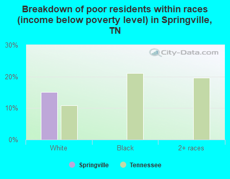 Breakdown of poor residents within races (income below poverty level) in Springville, TN