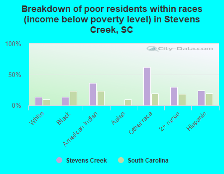 Breakdown of poor residents within races (income below poverty level) in Stevens Creek, SC
