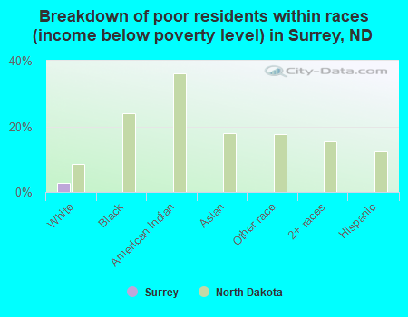 Breakdown of poor residents within races (income below poverty level) in Surrey, ND