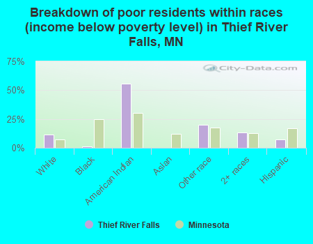 Breakdown of poor residents within races (income below poverty level) in Thief River Falls, MN