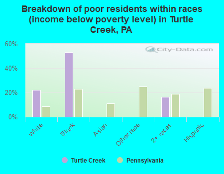 Breakdown of poor residents within races (income below poverty level) in Turtle Creek, PA