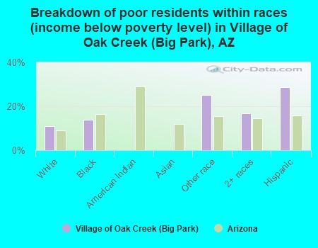 Breakdown of poor residents within races (income below poverty level) in Village of Oak Creek (Big Park), AZ