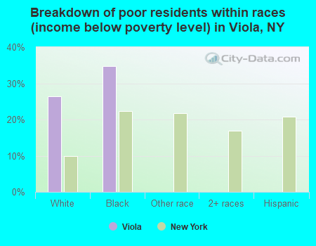 Breakdown of poor residents within races (income below poverty level) in Viola, NY