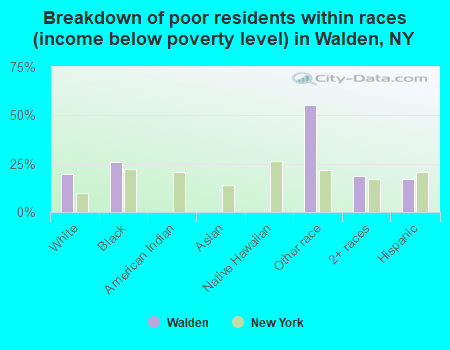 Breakdown of poor residents within races (income below poverty level) in Walden, NY