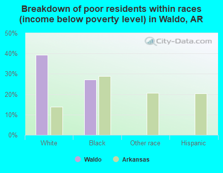 Breakdown of poor residents within races (income below poverty level) in Waldo, AR