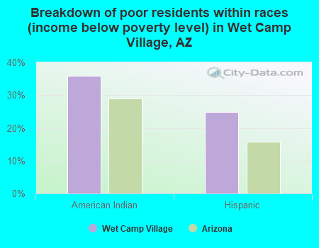 Breakdown of poor residents within races (income below poverty level) in Wet Camp Village, AZ