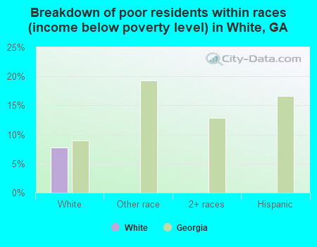 Breakdown of poor residents within races (income below poverty level) in White, GA