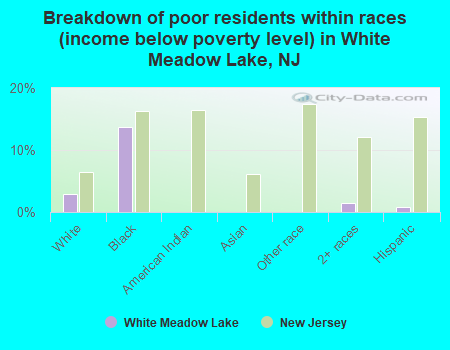 Breakdown of poor residents within races (income below poverty level) in White Meadow Lake, NJ
