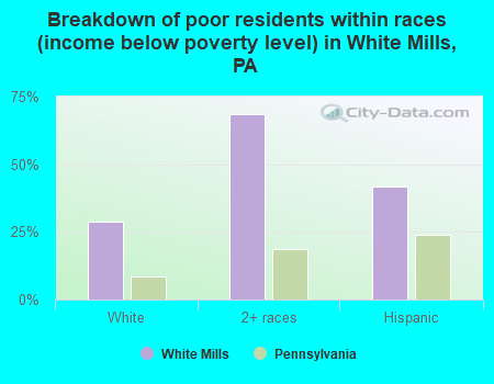 Breakdown of poor residents within races (income below poverty level) in White Mills, PA