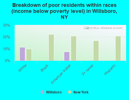 Breakdown of poor residents within races (income below poverty level) in Willsboro, NY