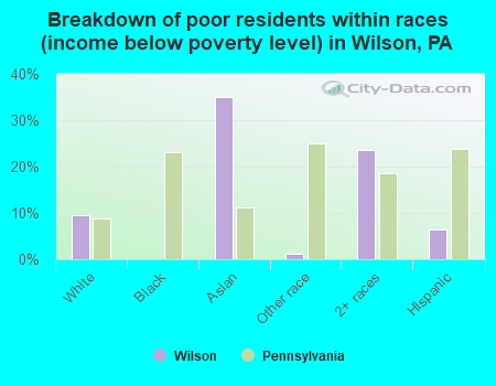 Breakdown of poor residents within races (income below poverty level) in Wilson, PA
