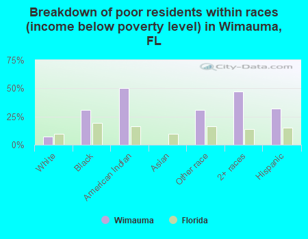 Breakdown of poor residents within races (income below poverty level) in Wimauma, FL