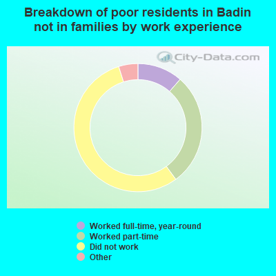 Breakdown of poor residents in Badin not in families by work experience