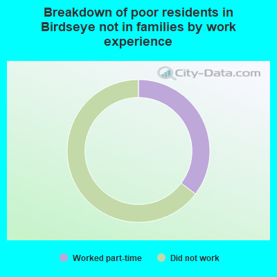 Breakdown of poor residents in Birdseye not in families by work experience