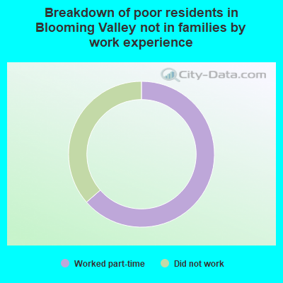 Breakdown of poor residents in Blooming Valley not in families by work experience