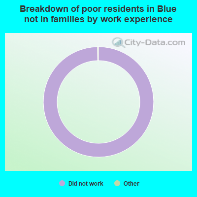 Breakdown of poor residents in Blue not in families by work experience