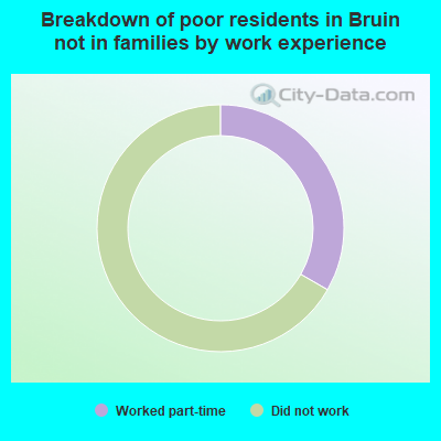 Breakdown of poor residents in Bruin not in families by work experience