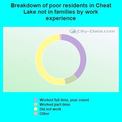Breakdown of poor residents in Cheat Lake not in families by work experience