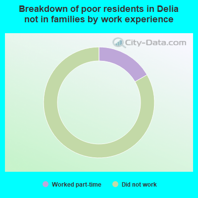 Breakdown of poor residents in Delia not in families by work experience