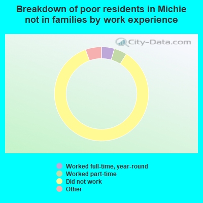 Breakdown of poor residents in Michie not in families by work experience