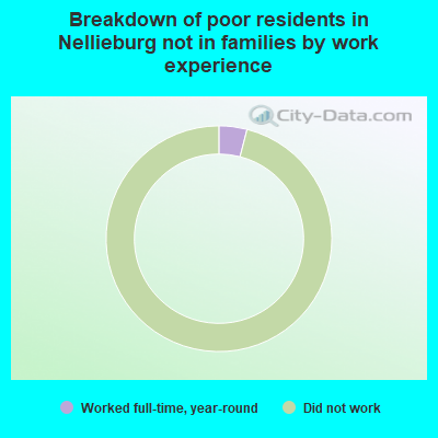 Breakdown of poor residents in Nellieburg not in families by work experience