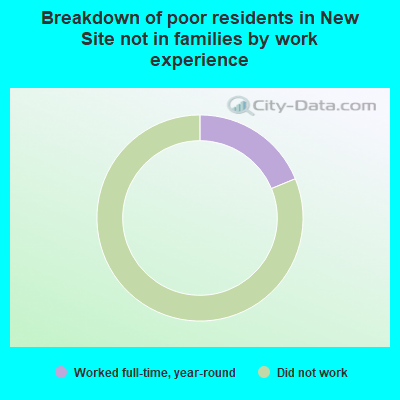 Breakdown of poor residents in New Site not in families by work experience
