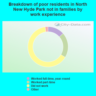 Breakdown of poor residents in North New Hyde Park not in families by work experience