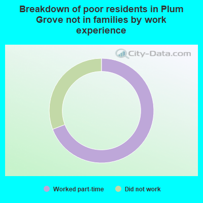 Breakdown of poor residents in Plum Grove not in families by work experience