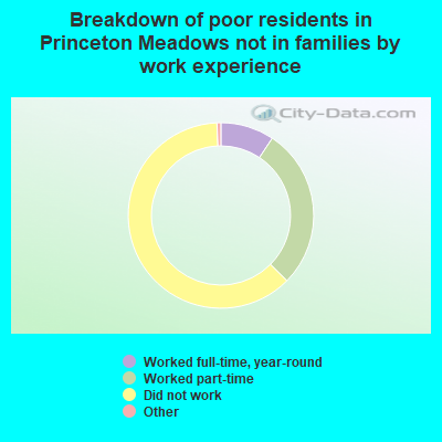 Breakdown of poor residents in Princeton Meadows not in families by work experience