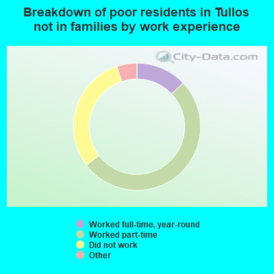 Breakdown of poor residents in Tullos not in families by work experience
