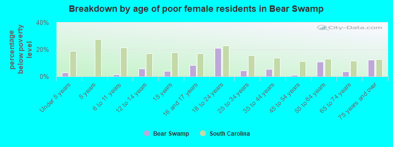 Breakdown by age of poor female residents in Bear Swamp
