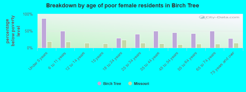 Breakdown by age of poor female residents in Birch Tree